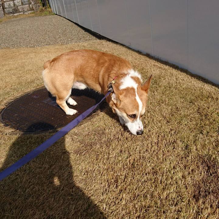 6176ca26 7746 43c2 9e72 4f5b4662d01b 1578721939237