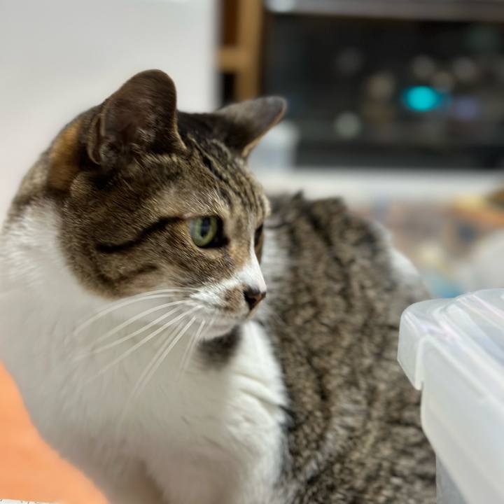 6176d413 cf32 4051 b85a 611c8bc5c2f9 1671588318524