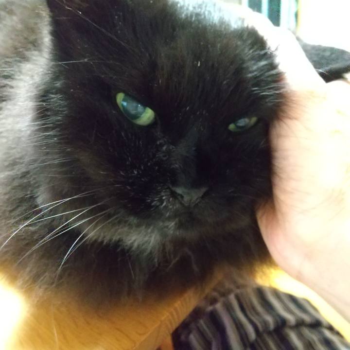 617713f1 bc79 4d53 9d45 31ffd518aa32 1659689726163