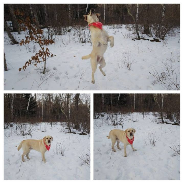 61775ae1 66c5 4568 b6fb d79345a9135c 1549784004507