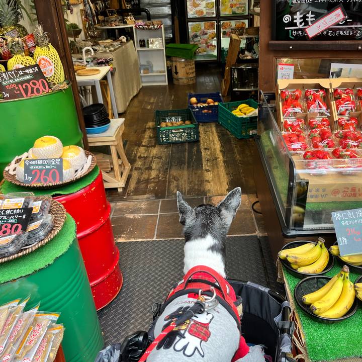 6177603d 3019 4a4a a239 bf905fabc894 1647832220882