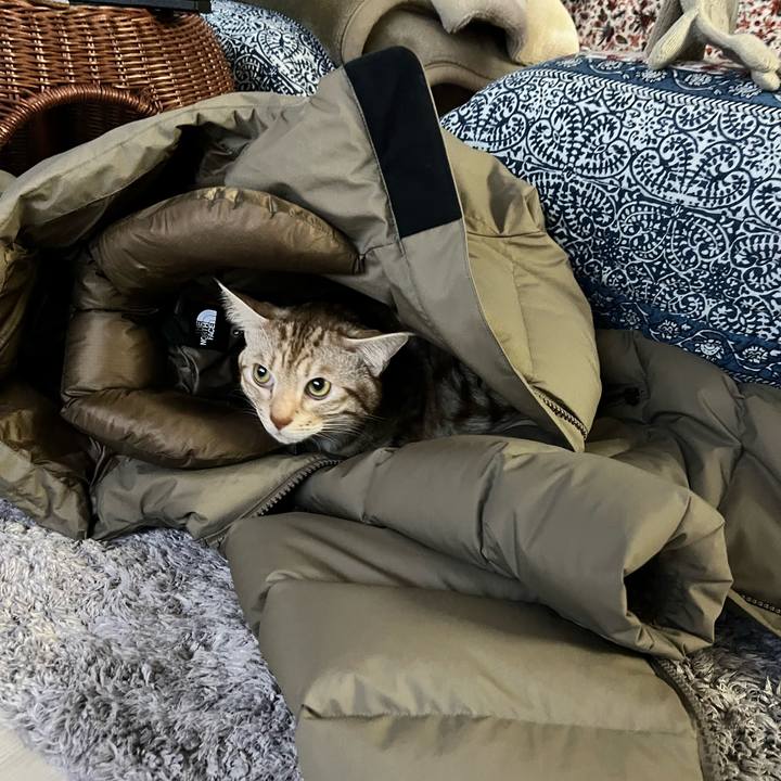 6177663d 13a9 4545 91d9 93b4fb439515 1674425638652