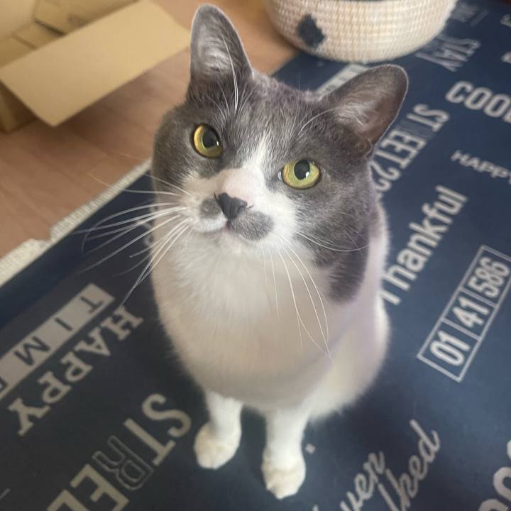 6177a090 a229 4420 bfab e848e9b2be9a 1715477409379