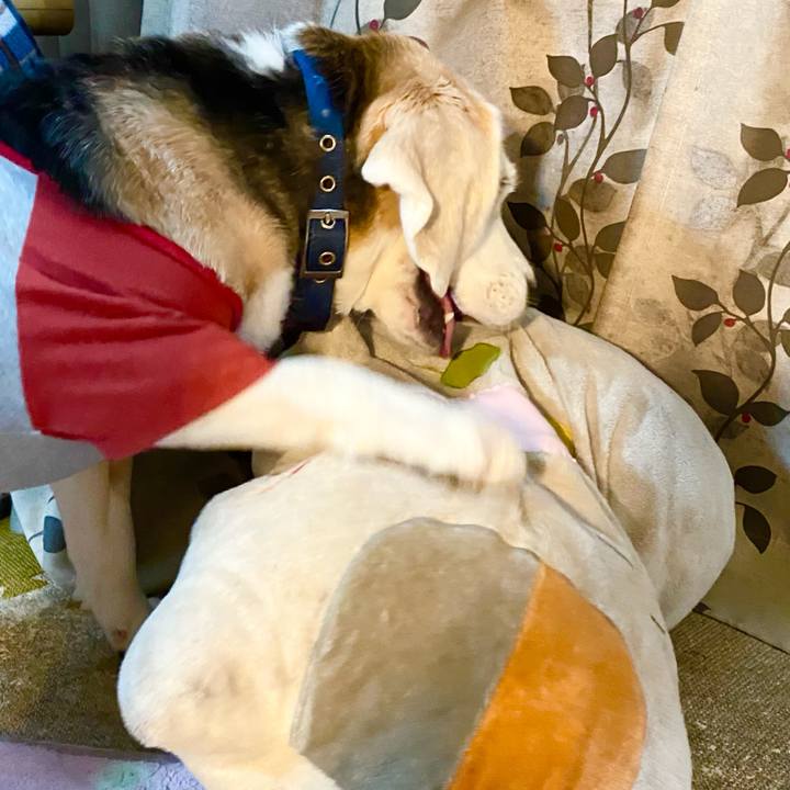 6177bbc4 b8a0 4365 b9a1 66cfa64890fd 1619840138348