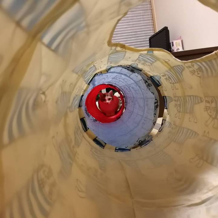 6177cdbb 8685 4409 bfac b204cea43fa2 1545476248031