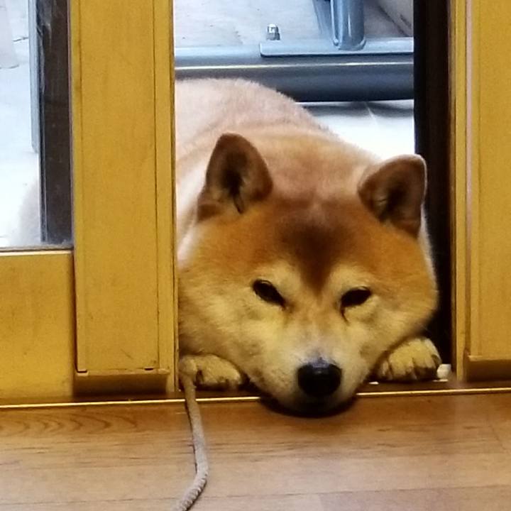 6177d0c5 5e28 4202 a323 56288fc4b189 1524041229863