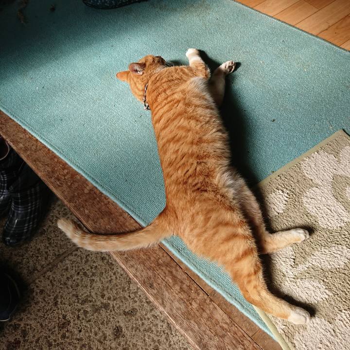 6177ea47 dc68 46da b2cb 6f84f256c8bf 1572847714052