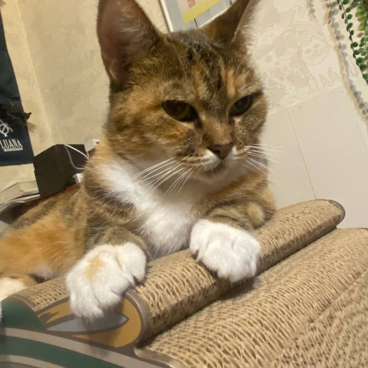 6177ed13 944e 4565 944e 116ec66d9da9 1631880961229