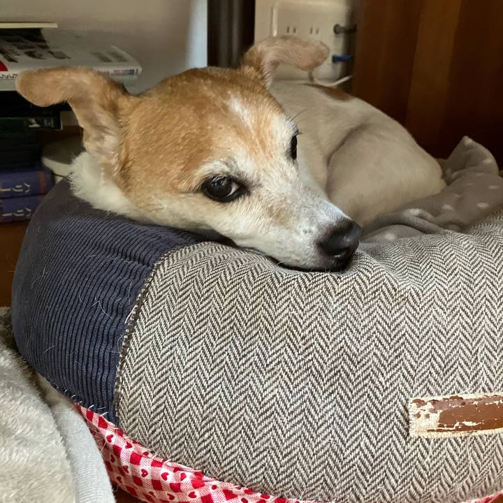 617803c3 5e13 4783 ac44 528b738a0a32 1774918335143