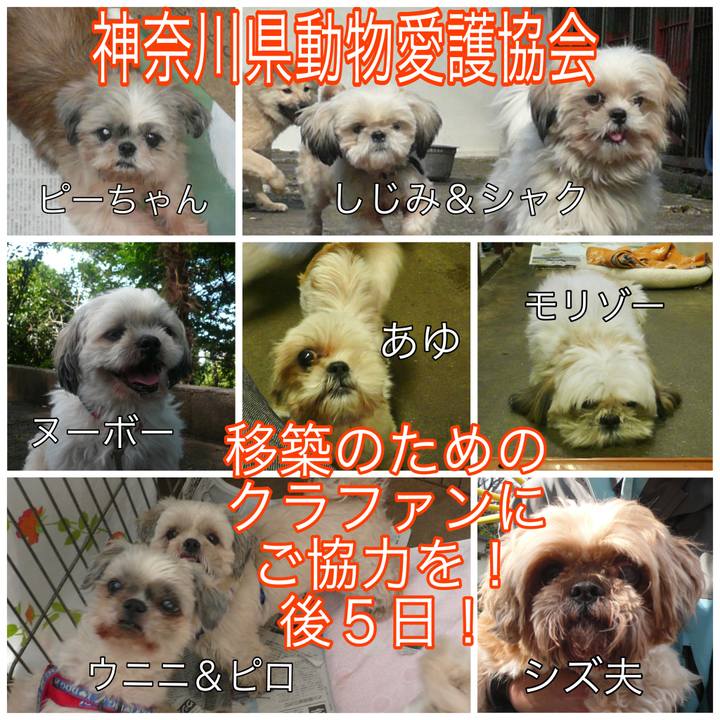 6178242a b99d 4530 87c7 6160762ea926 1688900752908