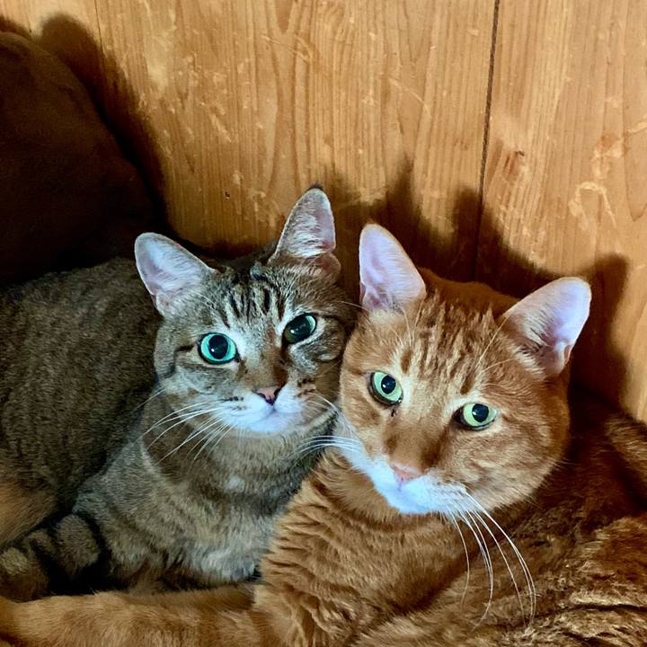 61783edf ce30 4388 822e 0b286d522cf1 1635209158794