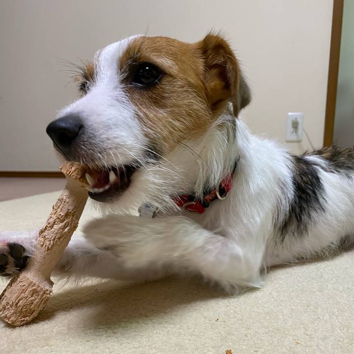 617850fd 5f60 4a36 80c1 7c0ee6c8f721 1628429800159