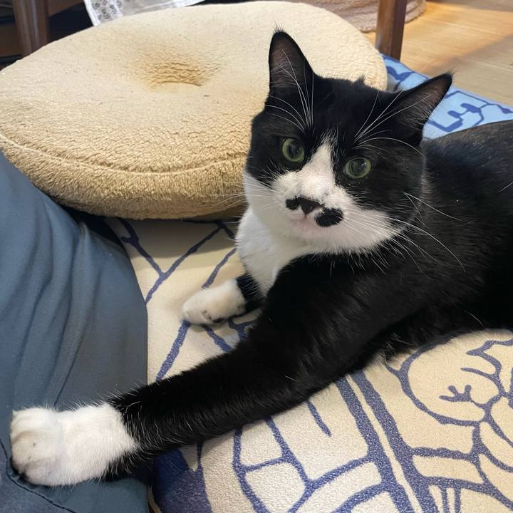 61789c2c 1073 48e1 a18f 602ac4c11806 1661639461296