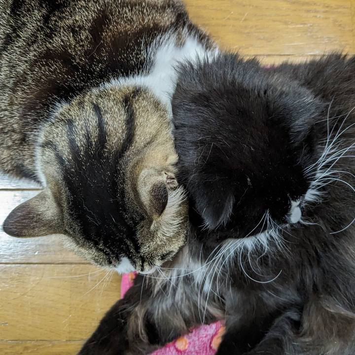 6178b386 b2b0 4f9b 96dd 66226f123fd0 1711581844458