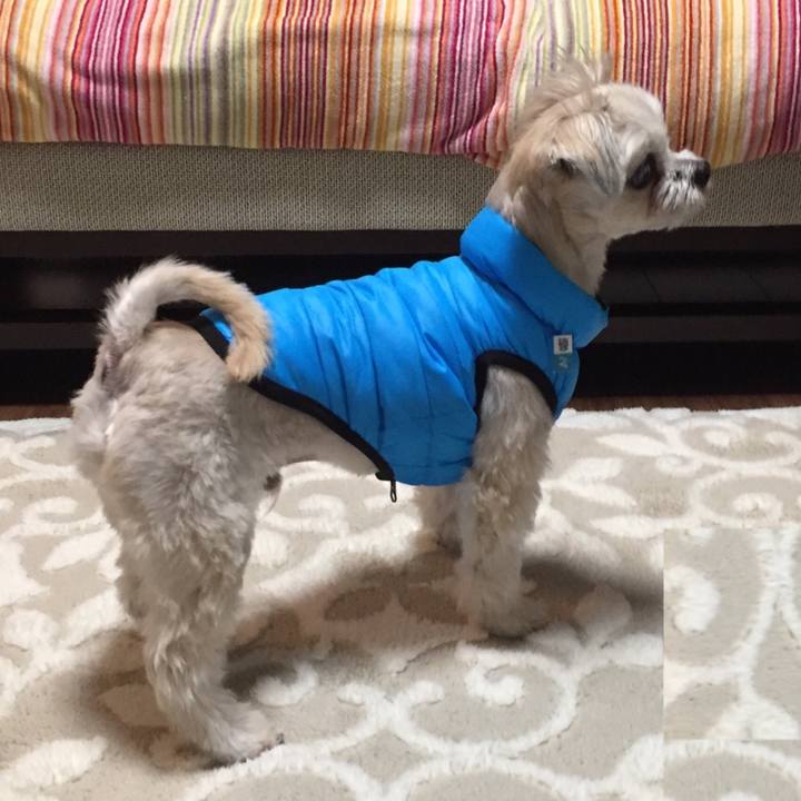 6178cd17 f612 4d9a bb9d 61f62c0f2476 1544189347033