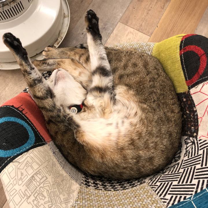 6178ea6e f5be 4a65 9993 7df98870d59c 1670502086947