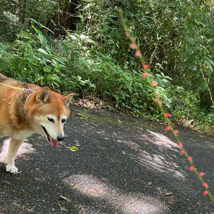 6179669c 1472 4607 9ff9 1282c74179ec 1658896101611