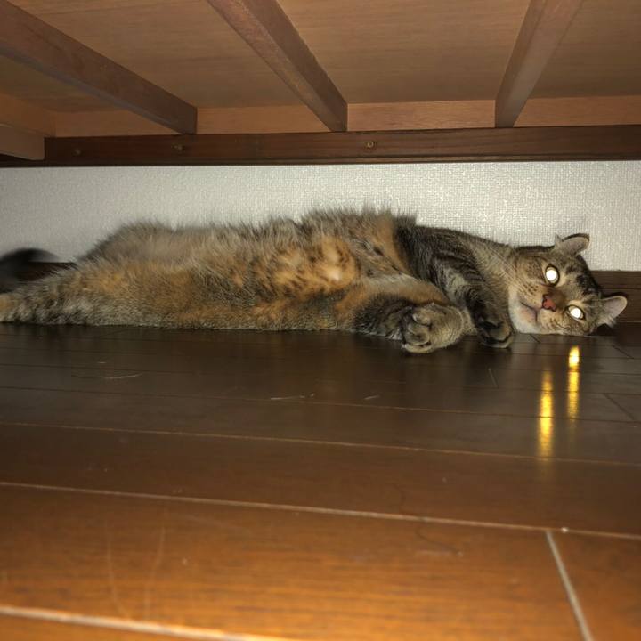 617a0e60 2d14 427a bcd0 f6f414e12902 1626825245402