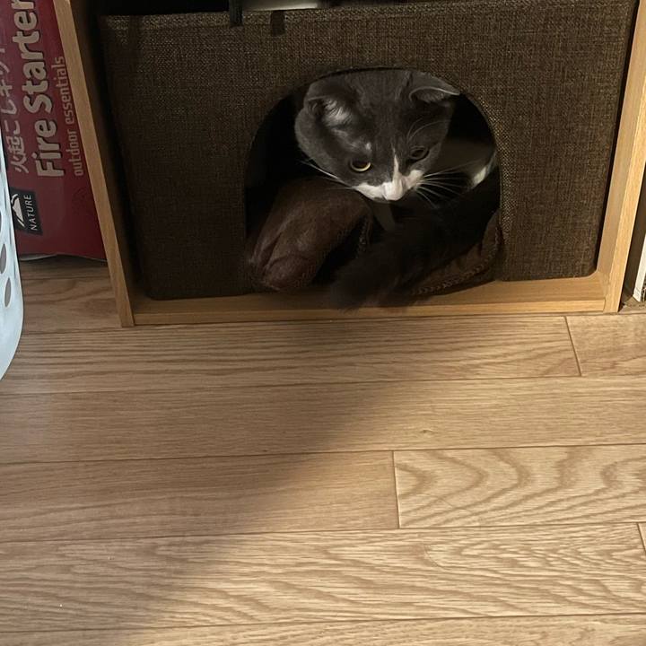 617a4e6b 6961 482a 8947 e7ebdc8e0a84 1722844546223