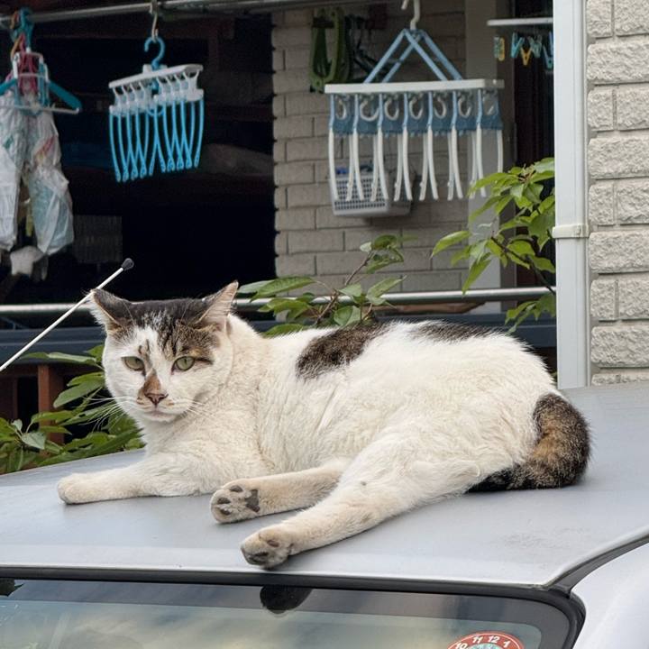 617a58bb d81f 4667 9f22 c023bf6136e8 1756089195507