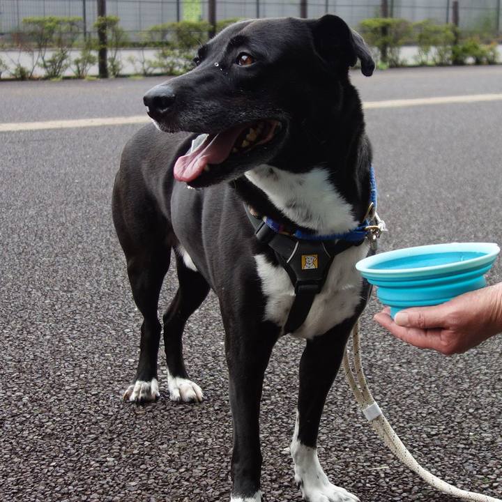 617aea64 882c 4ea1 9bd5 6fdabb9caaa1 1661473919099