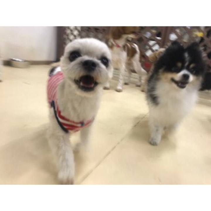 617afa95 077b 46ef 8d5d 25bb69e89d69 1542018789838