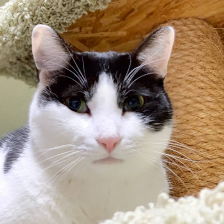 617b0550 aa7b 4ae6 bb3e 89efa9d31669 1549332051602