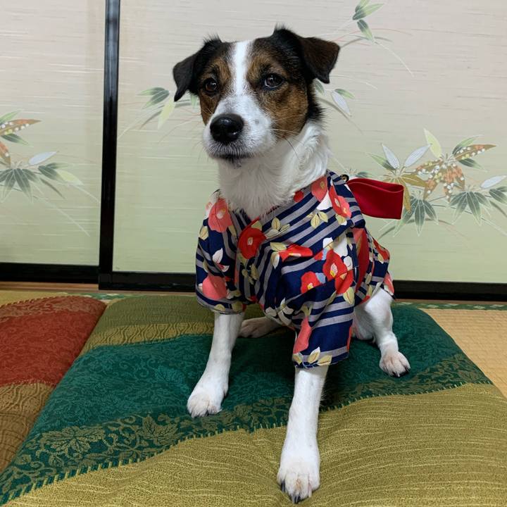 617b07af 616d 4502 bfe2 2ac0d3ac4877 1577875249840