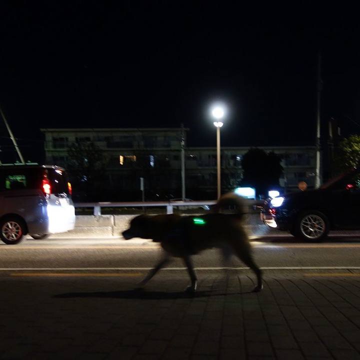 617b0a59 7992 45db 8811 addcc14b4ec0 1514890392547