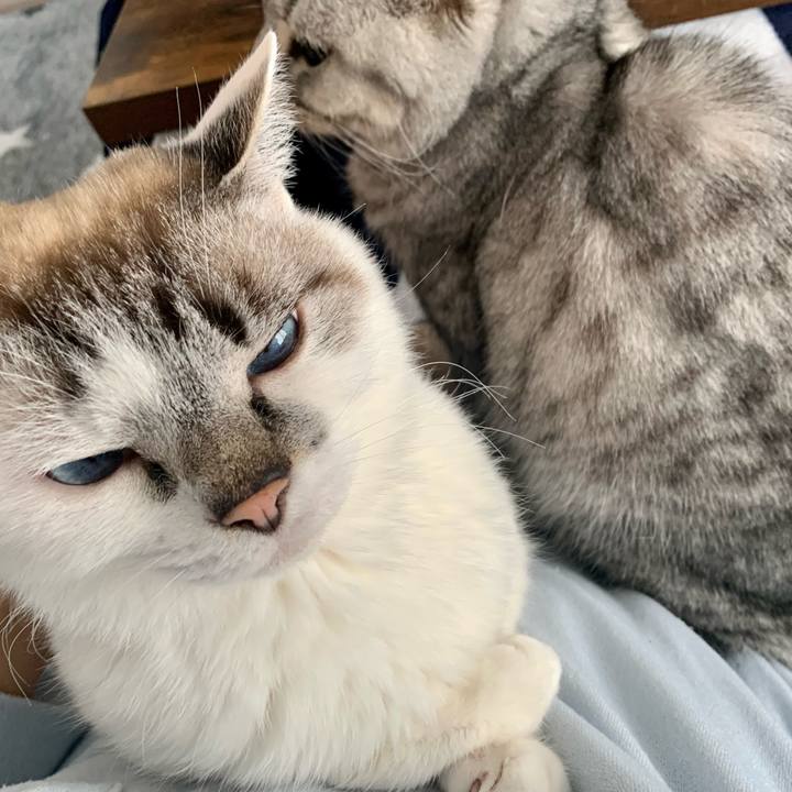 617b0cec 5e1e 44a8 89ae 217d312036c6 1649202601508