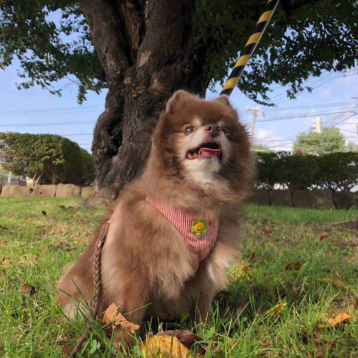 617b0f80 dbea 4c37 8339 00cf70fa8992 1633306715252