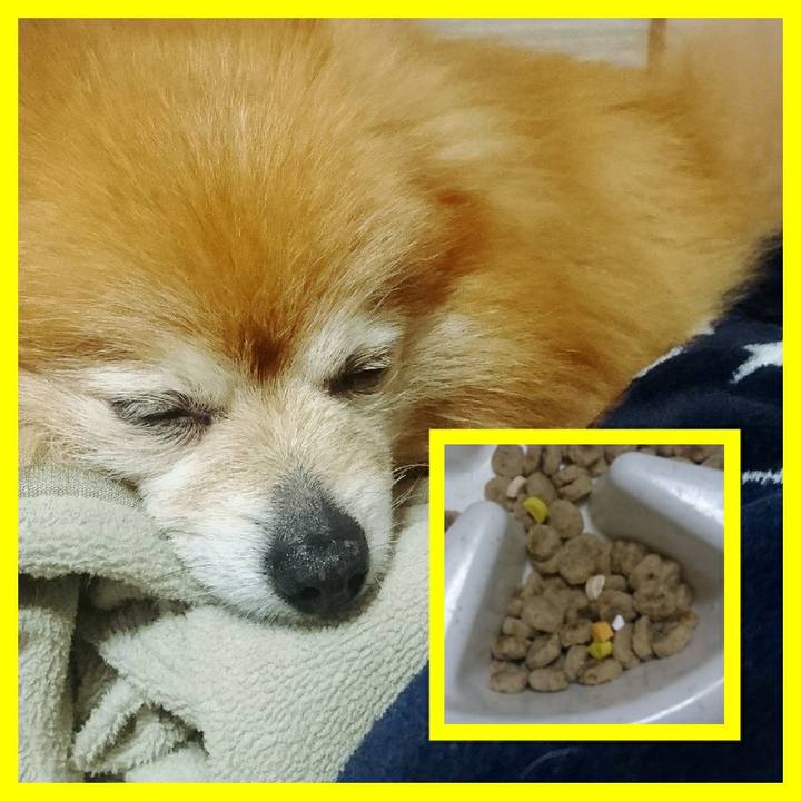 617b0fce 3a80 4d2f 9da3 176a4b7b4d62 1524919202100