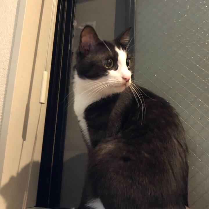 617b4ab9 a9df 4ffb acd4 d53559033aa3 1569927835552