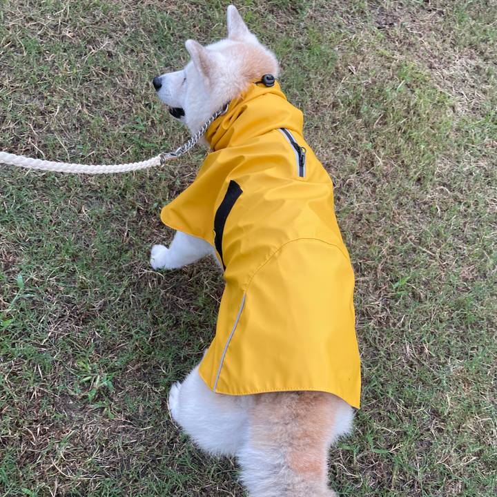 617b6aea 4261 41ac a976 e5c90838fffa 1728332489287