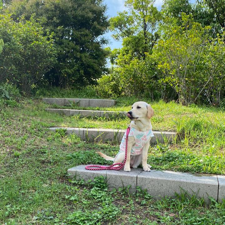 617b7e2e 6d08 47a1 afc7 620bf9a59b93 1619793579930