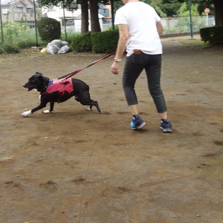 617ba5b2 708a 42eb b71b 045bd86c7151 1696121133220