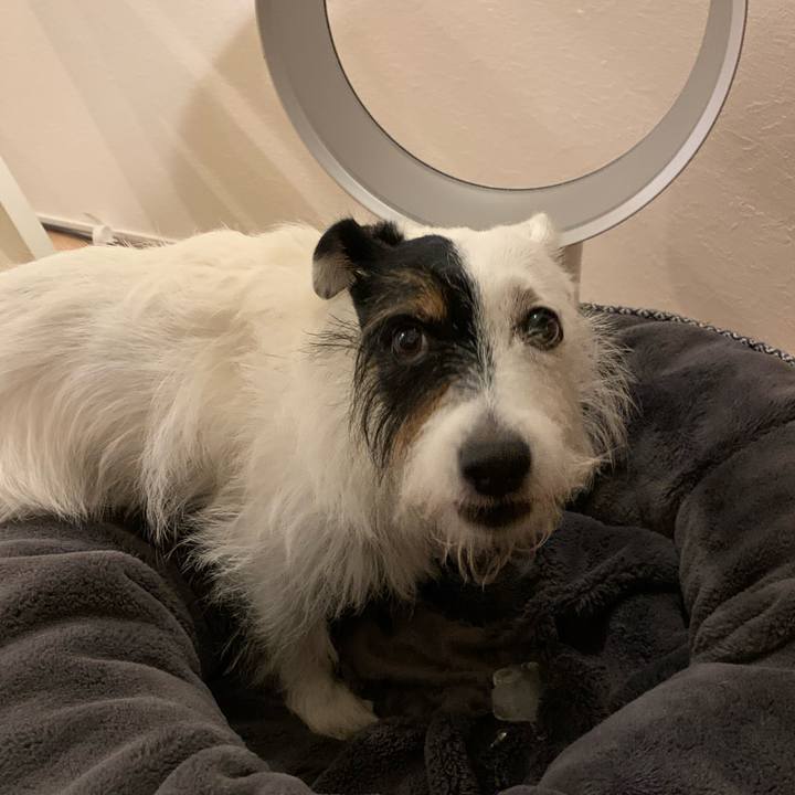 617bbb38 ee27 4046 aa72 c676a053b7e7 1659006561253