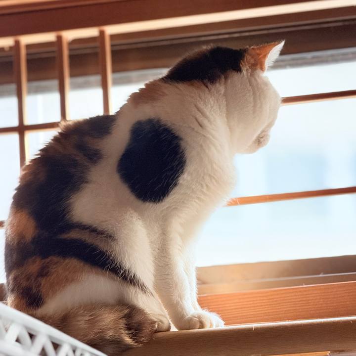 617bff73 4df1 46f2 a2c0 dc09c9d7fb97 1741833003219