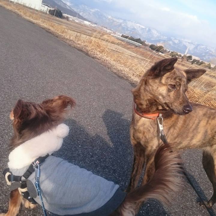 617c0d25 8a5b 4e67 941c 8e1e7d10c78f 1518398379864