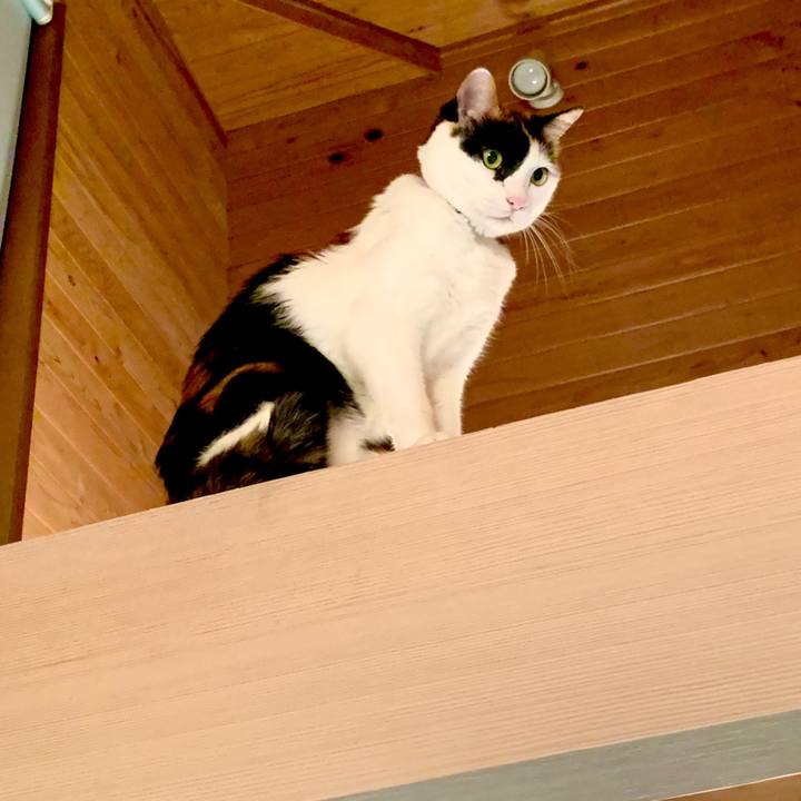 617c527e 305d 4fc3 b2d8 ae189c6c2948 1581512087052