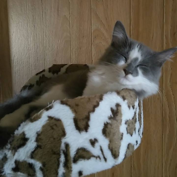 617c55a0 6360 4179 80e8 8e6654346d48 1565420075212