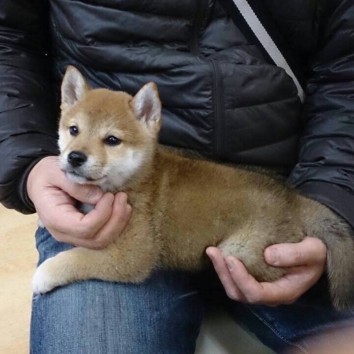 617c98f8 670e 4be7 9254 b06e0c47dd9c 1547289865261