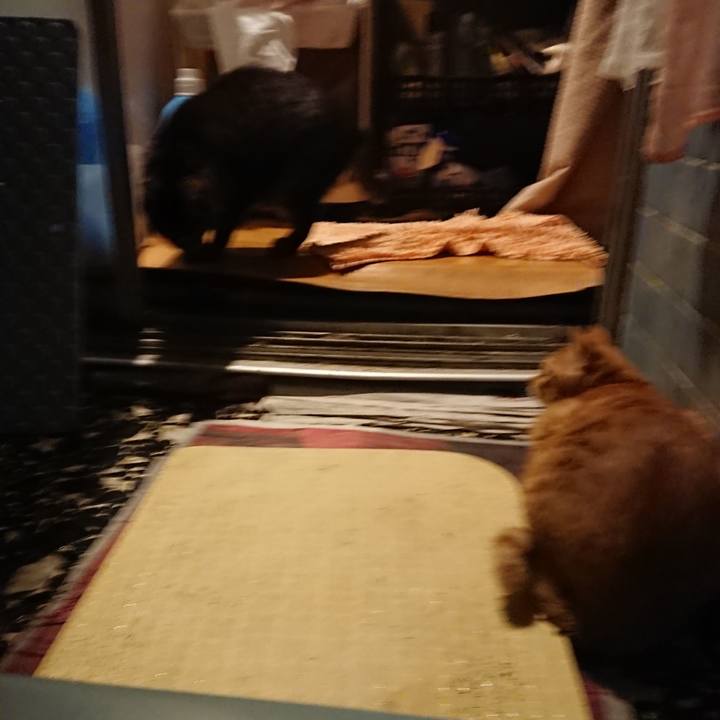 617cbf8f 52ed 4ac8 941b a0a6e5cfda8b 1642160777680