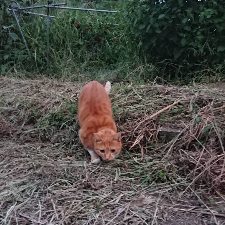 617cceb4 74b8 41dd 9c30 f0dd0a6035f4 1600851936575