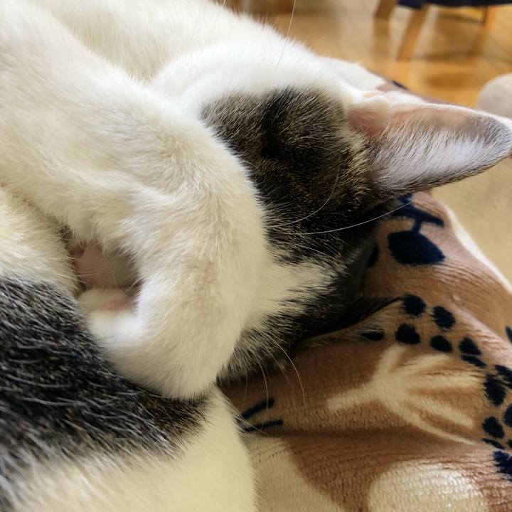 617d2c21 a2d4 4a70 a916 1a7f63eb6f37 1700007056330