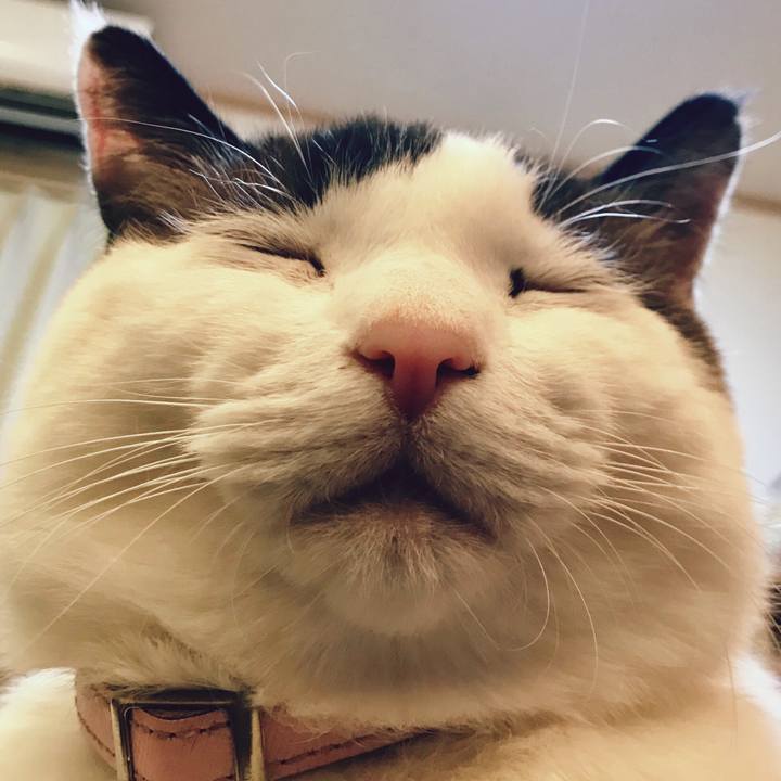 617d5631 e7cd 4c3d a362 5b8f457bd633 1519650050090