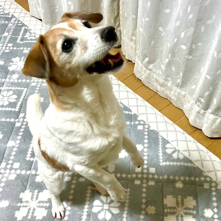 617da7d8 f3c5 4ba5 8b87 376a8c212831 1715519741889