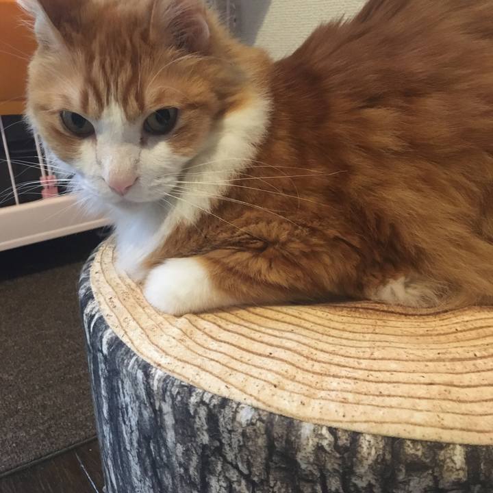 617dd39b b48d 44b1 a5e5 58d5475a7394 1577666289042