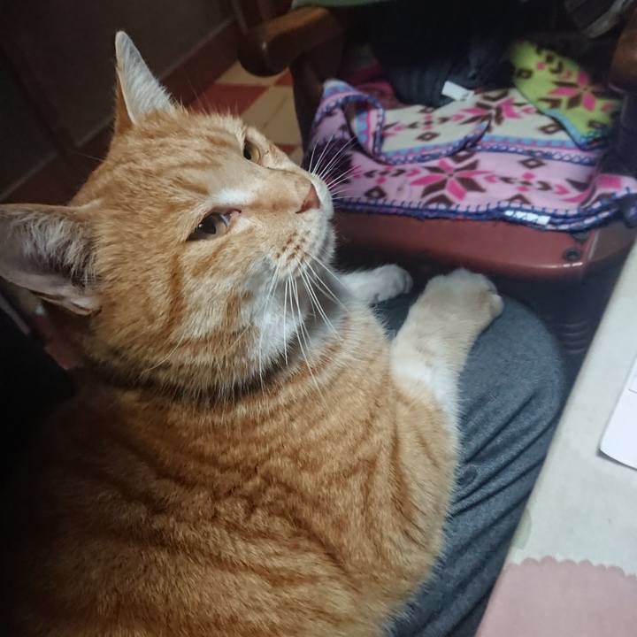 617ddf0a 4b1d 43a7 af69 698c22eb9106 1579597542714