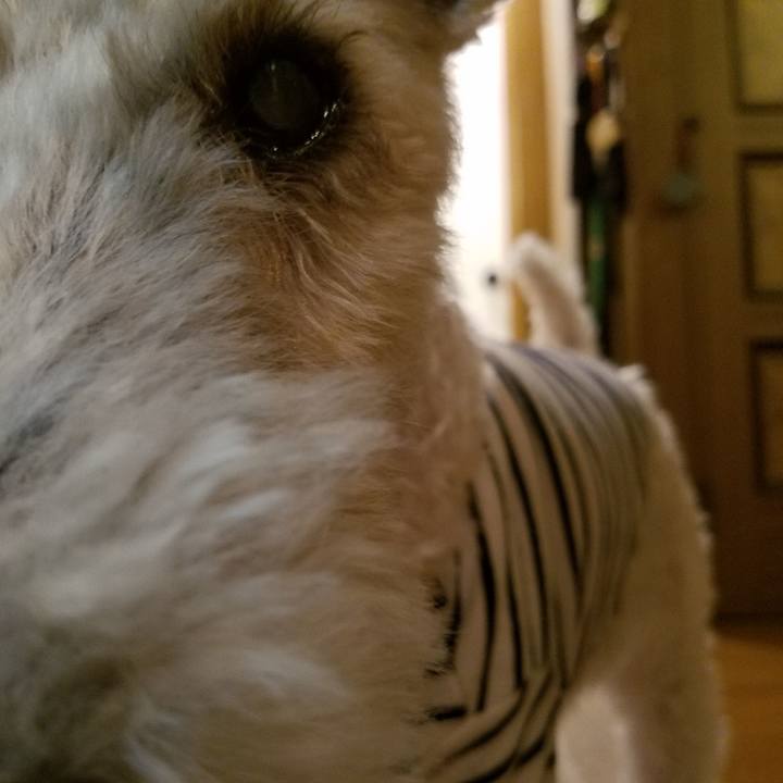 617e0955 cb81 414a b4e4 59fe53dbd6fd 1580220949354